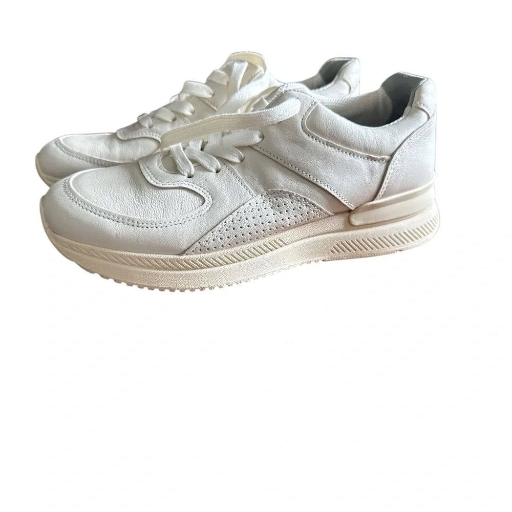 NEW Everlane The Trainer genuine leather sneaker size 8